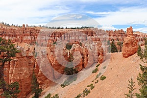 Squatty Hoodoos in Bryce