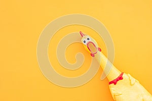 Squawking chicken or squeaky toy are shouting and copy space yellow background. Chicken shouting Toy on orange background