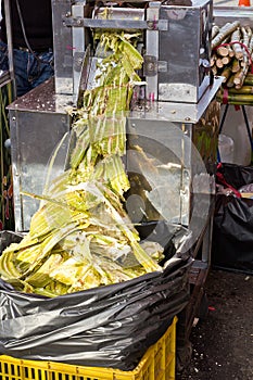 Squeezing sugar cane juice