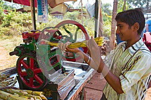 Squeezing sugar cane juice