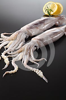 Squid