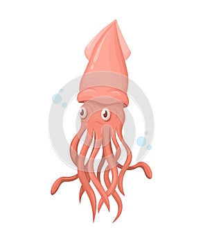 Squid Animal Species Cartoon illustration Vector