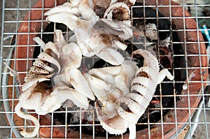 Squid on barbecue stove