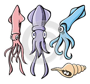 Squid cartoons