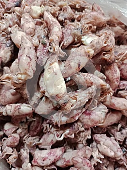 squid dried in the sun to dry and salted.