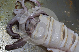 Squid fried on frying pan photo