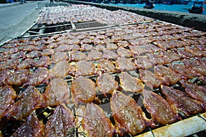 Squid lay on net, Dried Squid