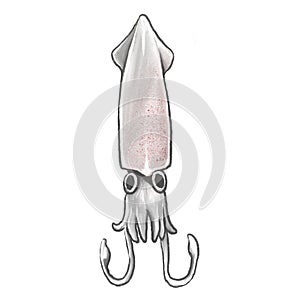Squid Painting in Cartoon