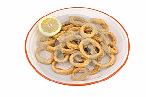 Squid rings