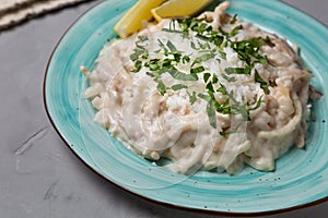 Squid in sour cream sauce. Greek national dish.