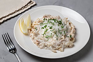 Squid in sour cream sauce. Greek national dish.