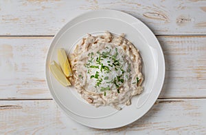 Squid in sour cream sauce. Greek national dish. The view from the top. Copy-space.