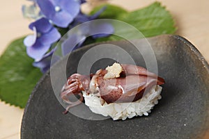 Squid sushi