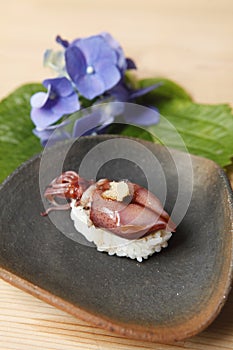 Squid sushi