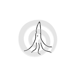 Squid thin line icon. Squid linear outline icon