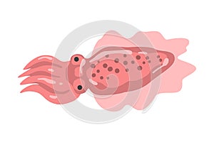 Squid Underwater Ocean Sea Creature Cartoon Vector Illustration