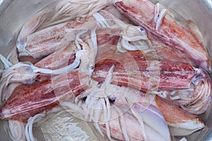 Squids on Asian street market in Vietnam. Raw fresh squids in bowl.