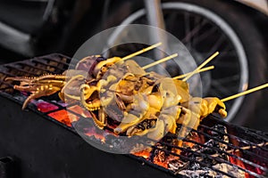Squids on spit being grilled over red glowing coal in Thailand