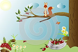 Squirrel on a tree in the forest eating berries.