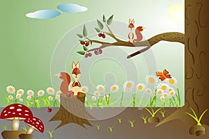 Squirrel on a tree in the forest eating berries.