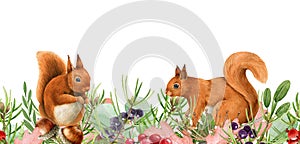 Squirrel animal forest wild herbs seamless border. Watercolor illustration. Wildlife seamless decor element. Woodland