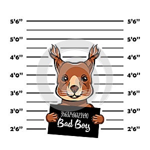 Squirrel bad boy criminal. Arrest photo. Police records. Squirrel prison. Police mugshot background. Vector.