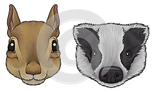 Squirrel and Badger Muzzle with Fur Vector Set