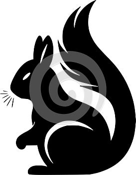 Squirrel - black and white vector illustration photo