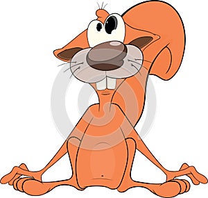The squirrel cartoon