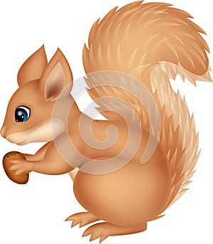 Squirrel cartoon holding nut