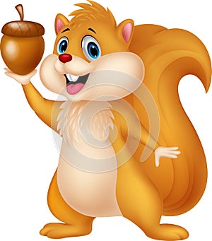 Squirrel cartoon with nut