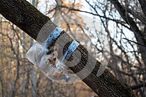 Squirrel eating from a feeder