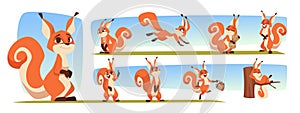 Squirrel. Forest animal in cartoon style action poses and funny emotions exact vector squirrel characters