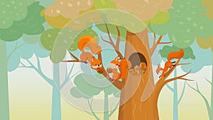 Squirrel in forest storing food and nuts for winter. Cartoon squirrels on tree branch and in hollow. Nature wild animals