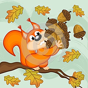 Squirrel gathers acorns