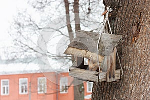 A squirrel in a handmade bird house stick it's head out to the camera