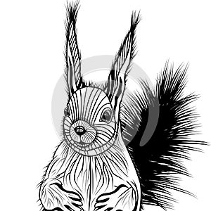 Squirrel head vector animal illustration for t-shirt