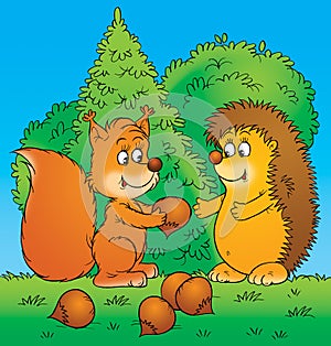 Squirrel and hedgehog