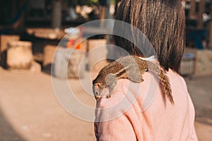 Squirrel with human