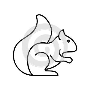 Squirrel icon for mammal animal
