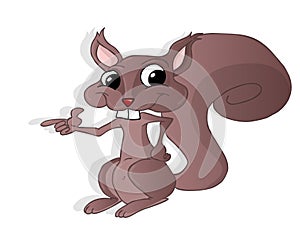 Squirrel illustration