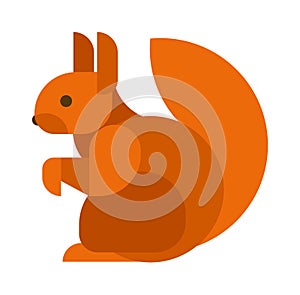 Squirrel isolated vector illustration.