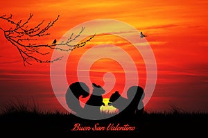 squirrel in love at sunset