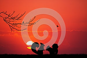 Squirrel in love at sunset