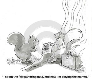 Squirrel is Playing the Stock Market