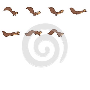 Squirrel running /hopping animation sprite