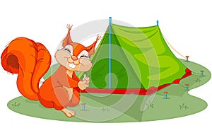 Squirrel sets tent photo