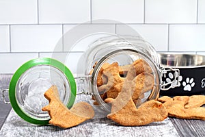 Squirrel Shaped Dog Biscuits with cookie jar and dog bowl