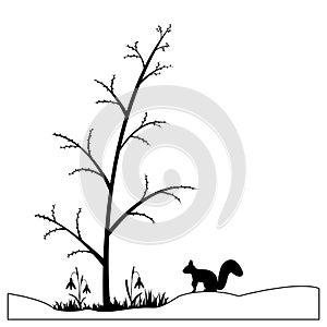 Squirrel silhouette in the spring forest. Vector illustration.