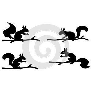 squirrel silhouettes on branches vector set